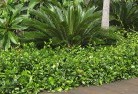 Bonangplanting-garden-and-landscape-design-45.jpg; ?>
